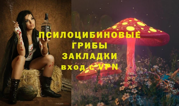 соль ск Алзамай