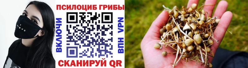 Галлюциногенные грибы мицелий Козловка